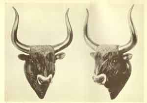 Bull's-head rhyton from Knossos. A stone head of a bull with large, upward-curving horns.